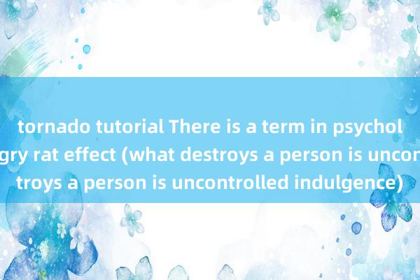 tornado tutorial There is a term in psychology called: the hungry rat effect (what destroys a person is uncontrolled indulgence)